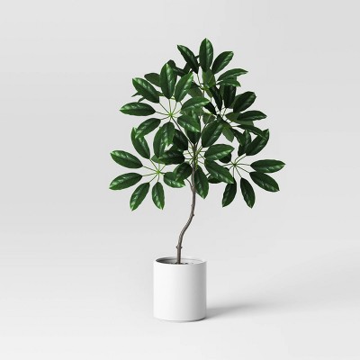 Umbrella Artificial Plant - Threshold™