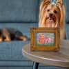 Pavilion Gift Company - Yorkshire Terrier - Bonet - 3.5" x 5" Framed Canvas - Wall Sign Panels - 2 of 4