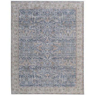 Pasha Transitional Ikat Area Rug