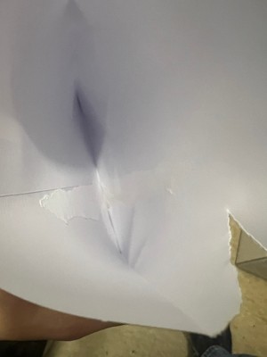 Guest review image 1 of 1, zoom in