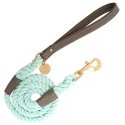 PoisePup – Luxury Pet Dog Leash – Soft Premium Italian Leather and Rope Leash for Small, Medium and Large Dogs - Desert Mint