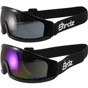 2 Pairs of Birdz Eyewear Robin Safety Goggles with Smoke, Blue Lenses - 1 of 4