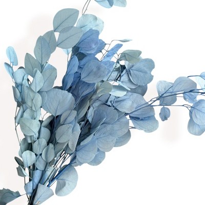 Alilang Decorative Dried Eucalyptus Stems for Home Decoration and Crafting Arrangements, 26.5 Inches