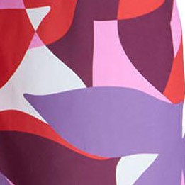 abstract botanicals