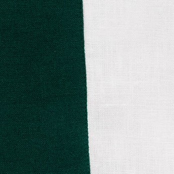 rainforest and white