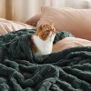 Bedsure | Cute Soft Cozy Checkered Throw Blanket for Couch - 4 of 4