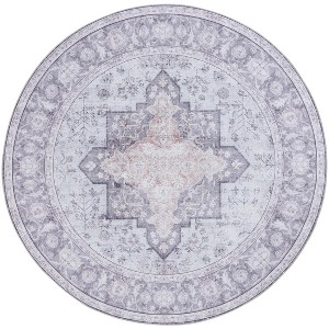 Tucson Vintage Persian TSN105 Power Loomed Machine Washable Skid-Resistant Indoor Rugs - Safavieh - 1 of 4