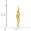 Black Bow Jewelry 14k Yellow Gold Hollow Italian Horn Charm or Pendant, 3 x 19mm - 2 of 4