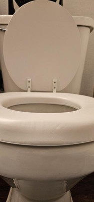 Elongated Cushioned Vinyl Toilet Seat Never Loosens Chrome Hinges White -  Mayfair By Bemis : Target