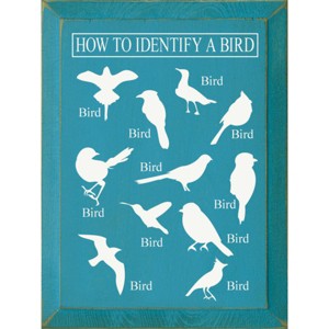 Slickblue Bird Guide Wooden Sign, Knotty Pine 9x12 Inch Wall Decor, Rustic Style, Color Options - 1 of 3