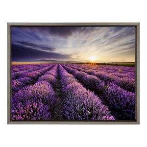 24"x18" Lavender Sunrise Framed Canvas Wall Art - Amanti Art: Botanical Landscape, Modern Decor - 1 of 4