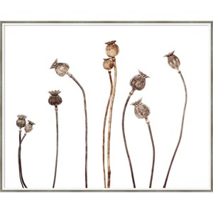 41" x 33" Poppies by Lotte Gronkjar Wood Framed Wall Art Print - Amanti Art: Modern Botanical Decor, Hardwood Frame - 1 of 4