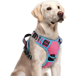 rabbitgoo Dog Harness for Large Dogs, No Pull Pet Vest with 3 Buckles, Adjustable  Rose Pink & Blue, L - 1 of 1