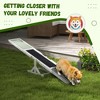LOVMOR Wooden Dog Agility Seesaw for Training and Exercise - 4 of 4