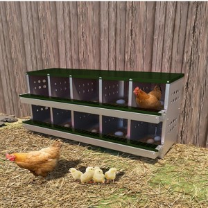 GustoWave  10-Compartment Chicken Nest Box  with Egg Collection Tray and 10 Fake Training Eggs - 1 of 4