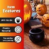 4E's Novelty St Patrick Black Plastic Cauldrons Bulk - 12 Mini Pots of Gold & 1 Large 7.4" for St Patrick’s Candy Buckets & Cauldron Candy Holder - 2 of 4