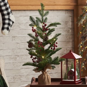 The Lakeside Collection Lighted Country Pencil Pine Tree - 24" - 1 of 4