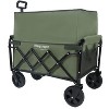 Expandable Dual-Layer Utility Wagon with 100% Extra Space - Grocery Cart for Camping, Shopping, Sports, Gardening, Fishing, Supports 225lbs - 3 of 4