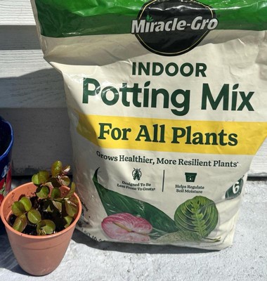 Miracle-Gro Indoor All Plants 5.39lbs Potting Soil : Target
