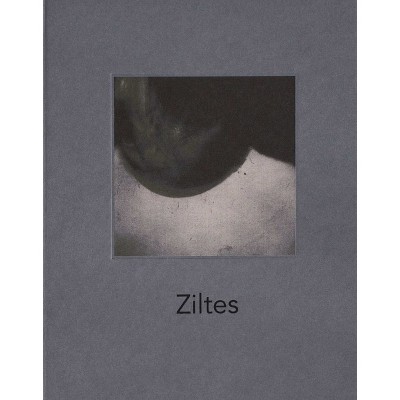 Ziltes - by  Bernadette Messiaen (Hardcover)