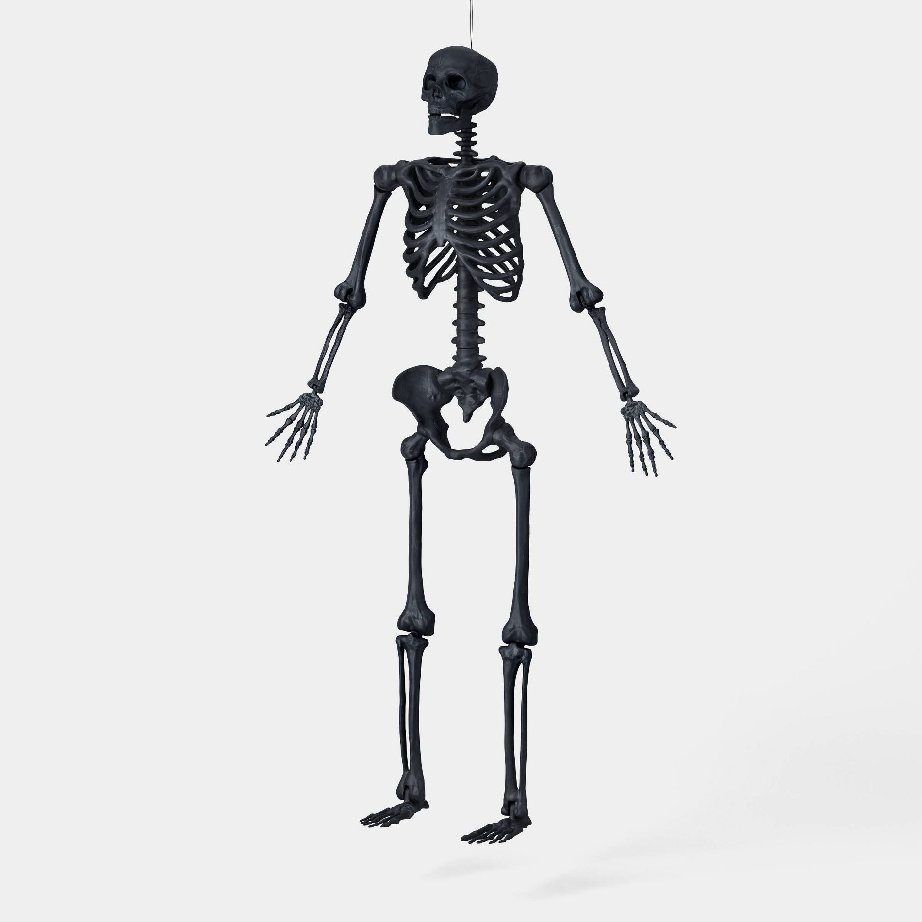60" Multi Pose-N-Stay Large Skeleton Halloween Decorative Prop Black Terra Cotta - Hyde and EEK! Boutique™