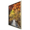Yosemite Home Decor "Woodlands Glass/Wood Photographic Art in Multi-Color - 2 of 4