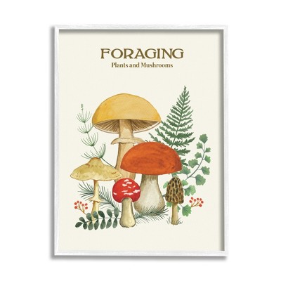 Stupell Industries Botanical Plants & Mushrooms Framed Giclee Art
