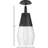 Lark Livie 1 - Light Pendant in  Black - 2 of 4
