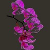 Junior's Design By Humans Orchid By jirkasvetlik T-Shirt - 2 of 3