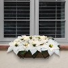 Puleo 24" Pre-Lit Battery-Operated Artificial White Poinsettia Window Box Decor - 4 of 4