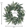 Sullivans Artificial 24" California Eucalyptus Wreath - 3 of 4
