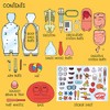 Wow in the World: The Amazing Human Body - 3 of 4