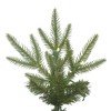 Vickerman Bixley Fir Christmas Artificial Tree PreLit - 3 of 3
