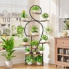 SEVOBAL Planter Stands and Holders Carbonized Wood Plant Stands Shelf Durable and DIY Plant Holder Multi Flower Stands, Walnut black, 31.9"*11.08"*63" - 4 of 4