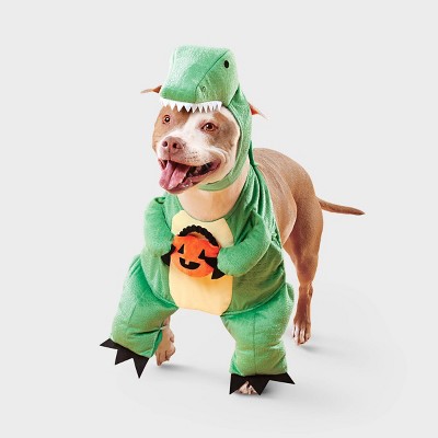 Dino with Pumpkin T-Rex Pail Dog and Cat Frontal Costume - Boots & Barkley™ Light Green