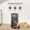 Automatic Cat and Small Dog Feeder, 4L Timed Food Dispenser with Dual Power, Easy Clean - 3 of 4