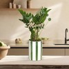 Green Circle Growers 5" ZZ Houseplant White and Green Ceramic Planter - 3 of 4