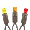 Novelty Lights 50 Light LED Christmas Mini Light Set (Brown Wire, 25 Feet) - image 4 of 4