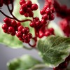 24"H Sullivans Red Berry Wreath, Red - 2 of 3