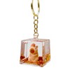 BCmini Capybara - Floaty Cube 1pc Key Charm - 2 of 2