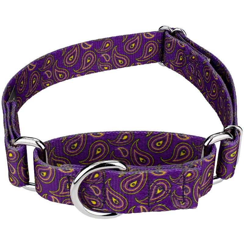 Country Brook Petz Purple Paisley Martingale Dog Collar, 1 of 13