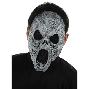 Seasonal Visions Adult Scary Wailing Spirit Costume Mask - 14 in. - Gray - 1 of 1