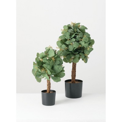 Sullivans Artificial Set of 2 Eucalyptus Berry Topiary Set 27.5"H & 20"H Green