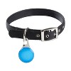 Nite Ize WearAbout Pet Clippable Tracker Holder - Compatible with Apple AirTag - Pet Tracker Keychain & Carabiner Clip - Lightweight - Blue (2 Pack) - 3 of 4
