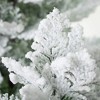 36"H & 24"H Sullivans Artificial Snowy Cedar Accent Christmas Tree Set of 2, Green-White, Indoor Christmas Decor - 2 of 4