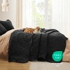 | 2-3 Pcs Pre-Washed Bedspread Bedding Sets Ultra Soft Coverlet Quilted Bedding for All Seasons - 4 of 4