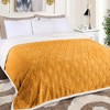 Jacquard Lattice Fleece Plush Reversible Blanket by Blue Nile Mills - 2 of 4