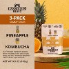 Buck Naked Bears Pineapple Kombucha Gummy Bears - 3.5 oz (Case of 12) - 4 of 4