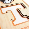 8" X 32" NCAA Tennessee Volunteers 3D StadiumView Banner - image 4 of 4