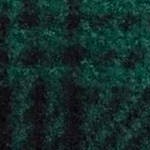 Black and Green